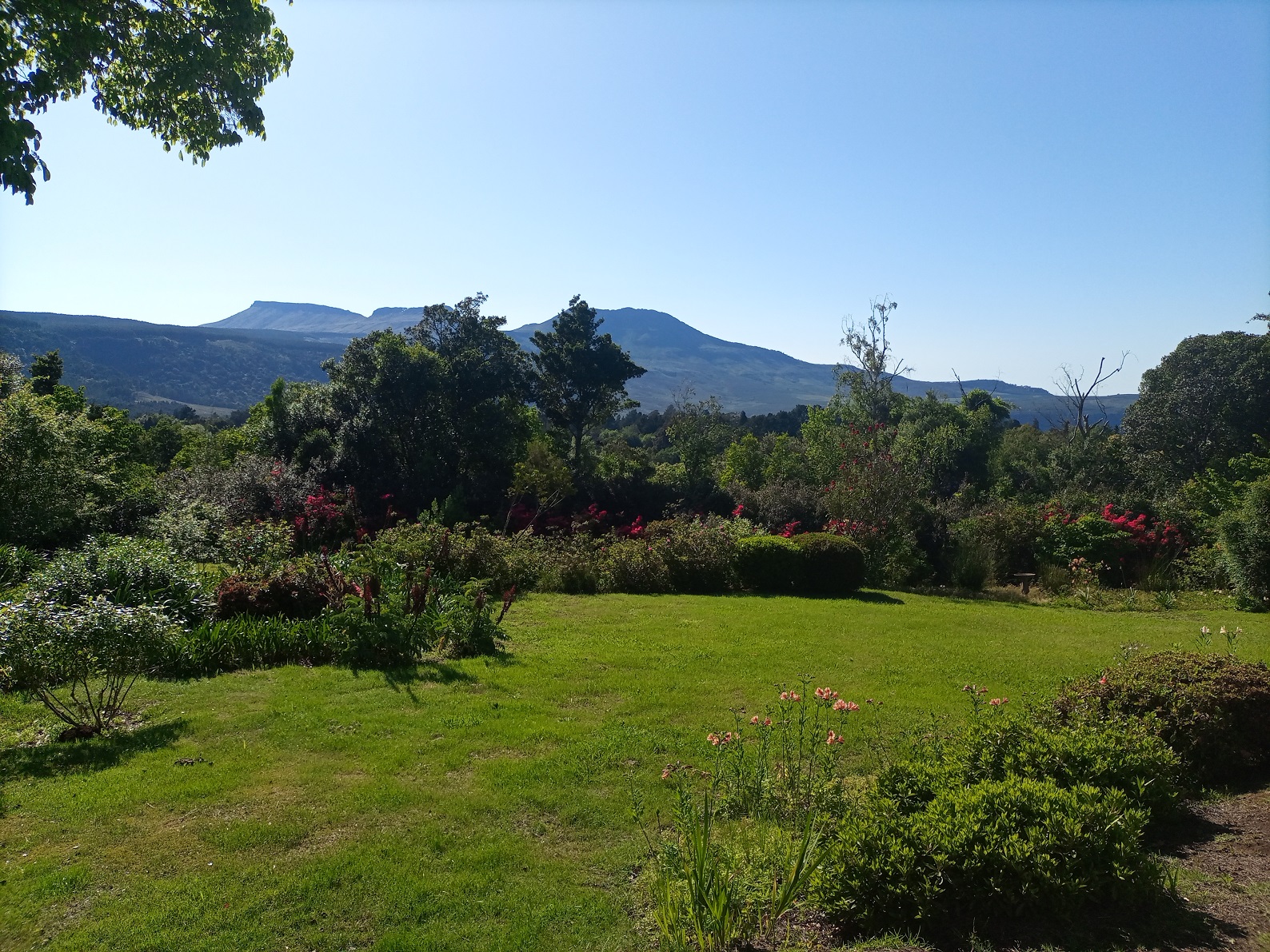 aMH_view_garden