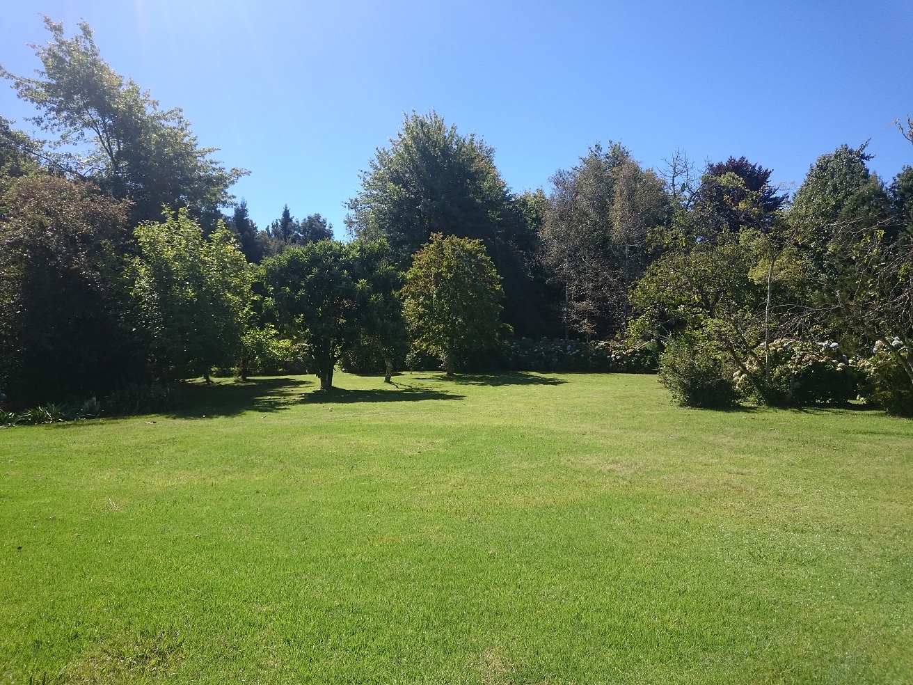 bHC_outside4_X